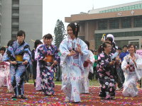 應日系同學表演花見舞照片