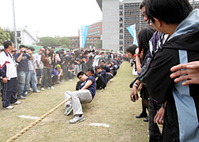 安管系拔河照片