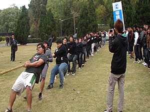 電機械拔河照片