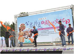 印度舞蹈表演照片